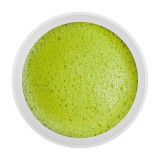 matcha japonais bio