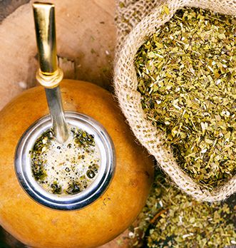 Mate: the complete guide to the South American drink