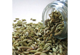 The many virtues of fennel and its seeds