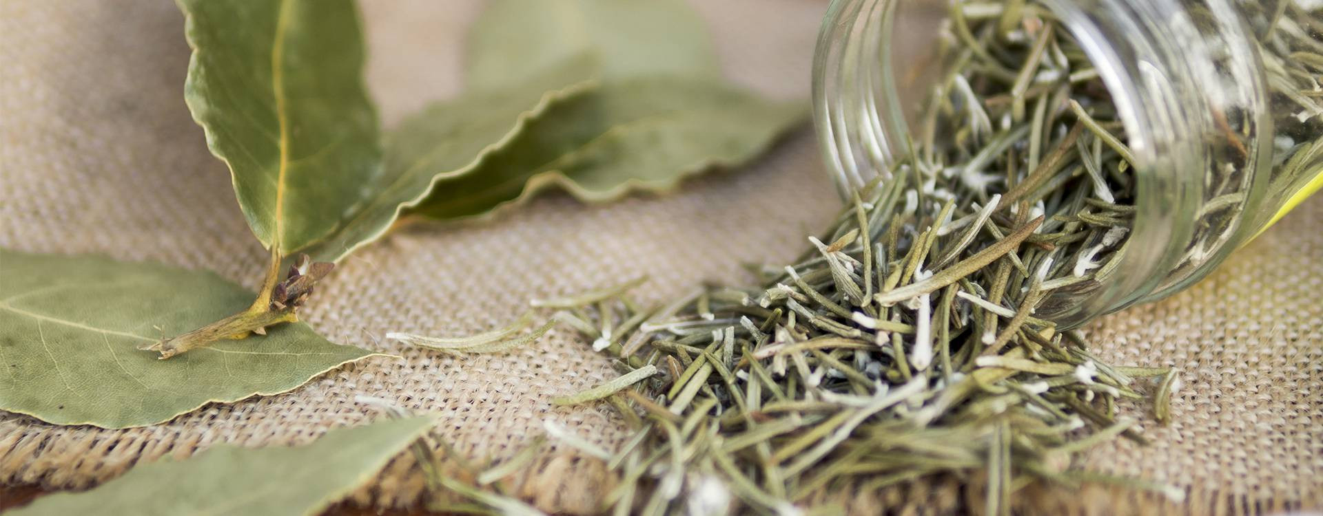 Rosemary: its health benefits